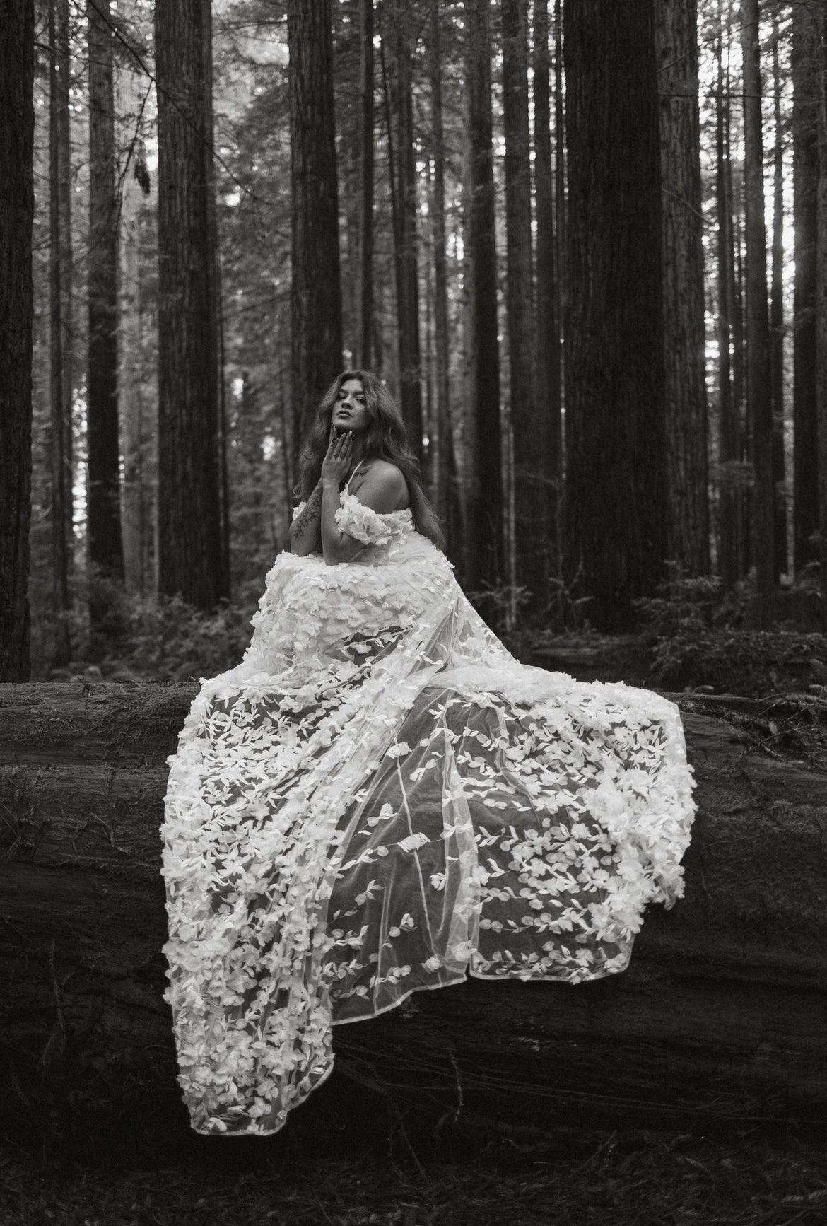 RETIRED RENTAL - Sophie