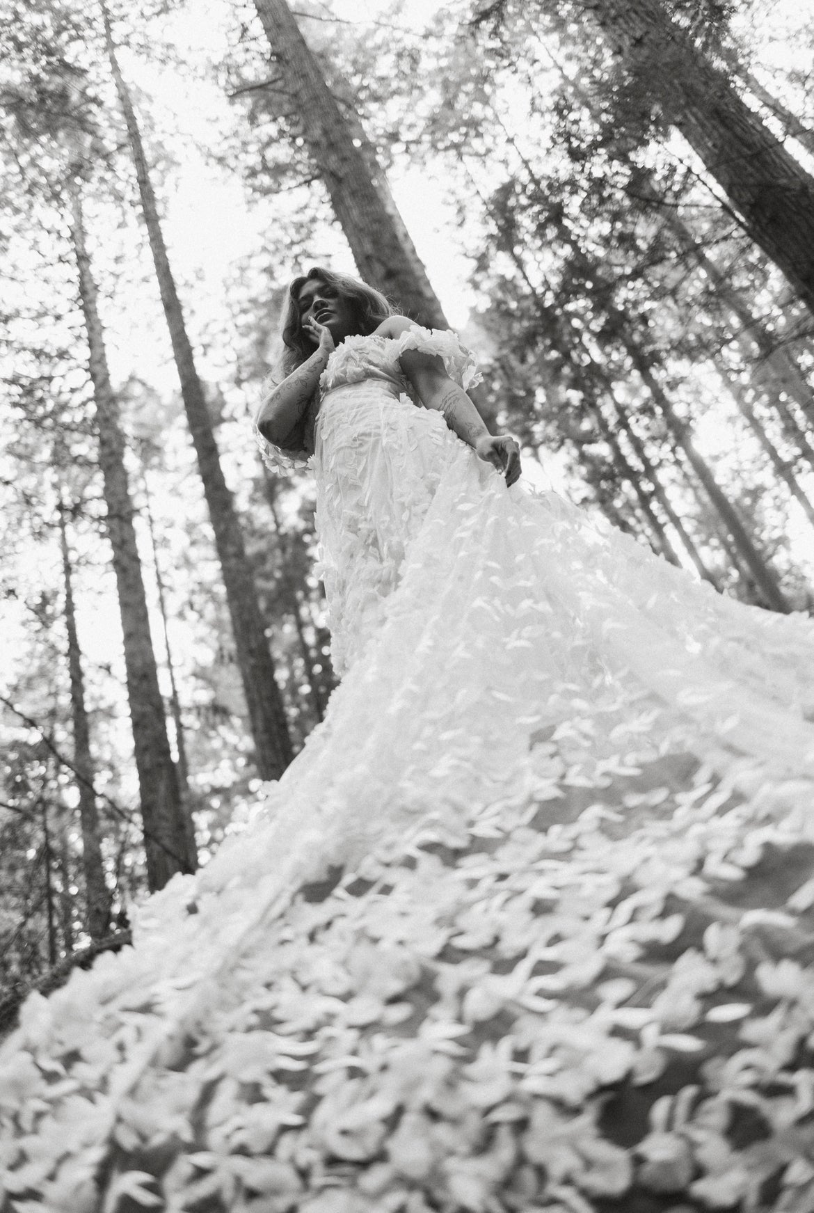 RETIRED RENTAL - Sophie