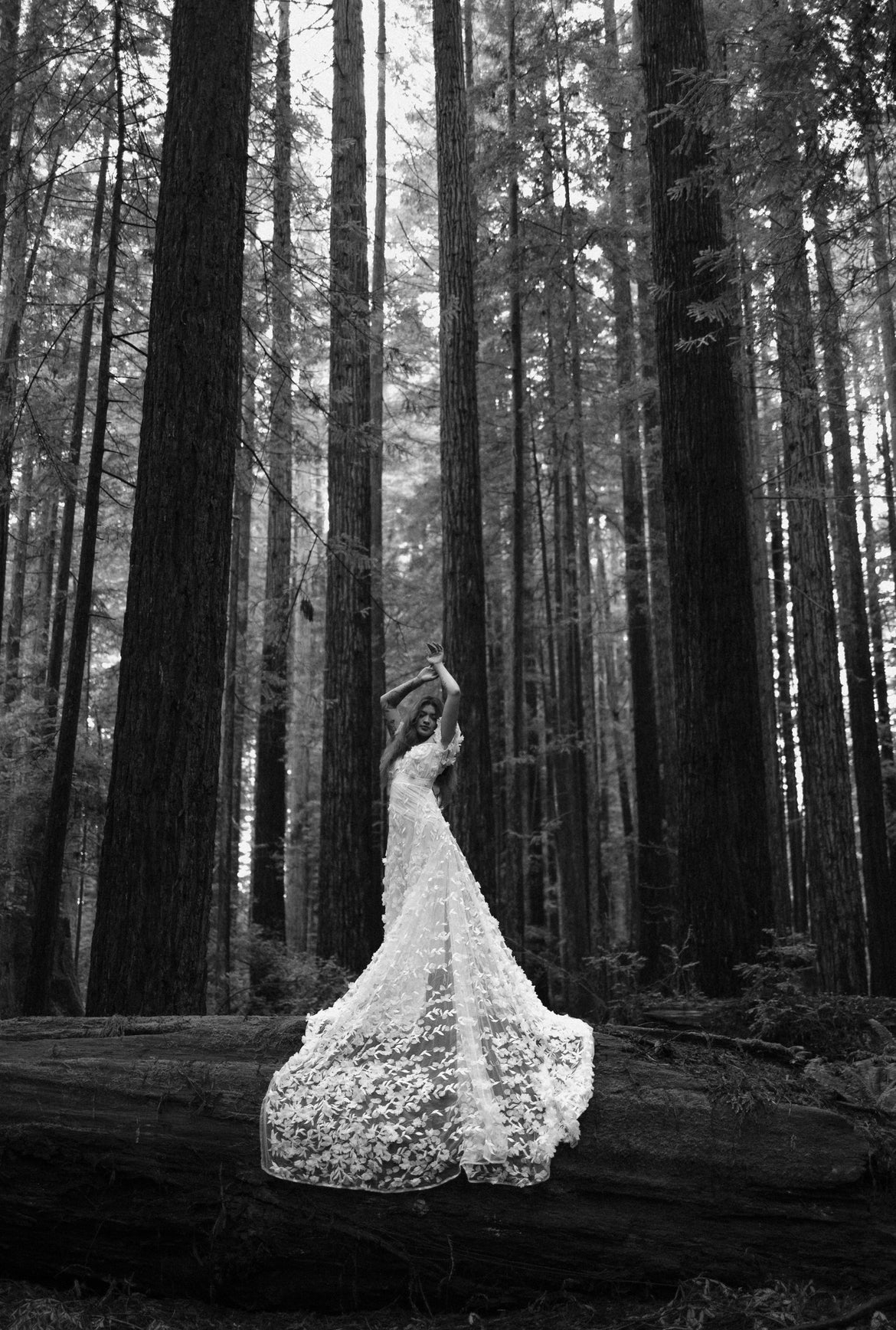 RETIRED RENTAL - Sophie