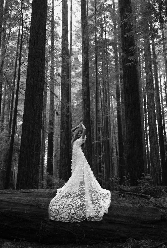 RETIRED RENTAL - Sophie