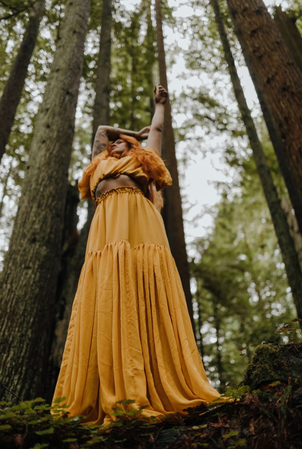 RETIRED RENTAL - Noell (two-piece)